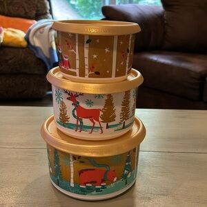 Tupperware canister set